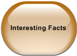Interesting Facts